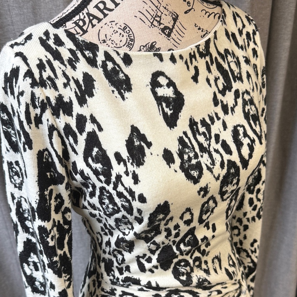 Leopard Print Long Sleeve Dress - Picture 2 of 11